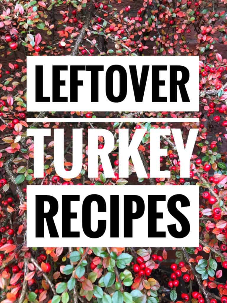 leftover turkey recipes lettering over red berries