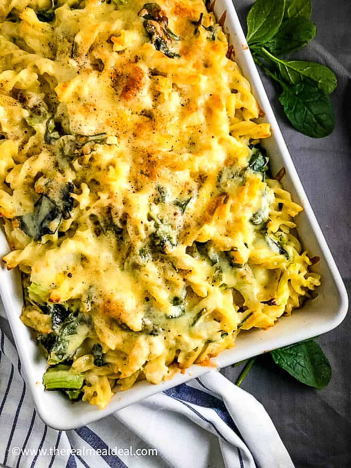 cauliflower cheese pasta bake with spinach in tray