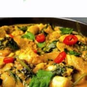 pinterest image for fish korma recipe showing close up of finished dish